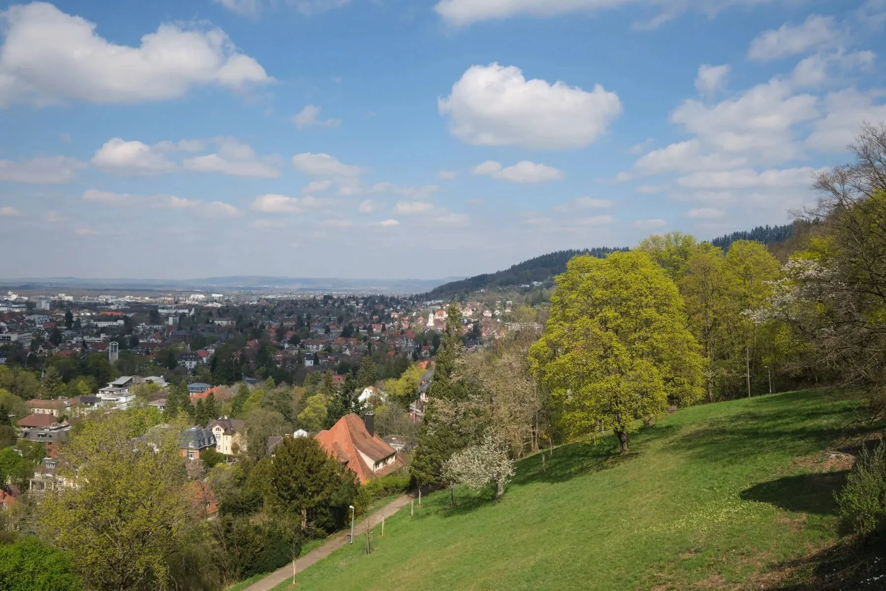 Schlossbergrestaurant Dattler — photo 38