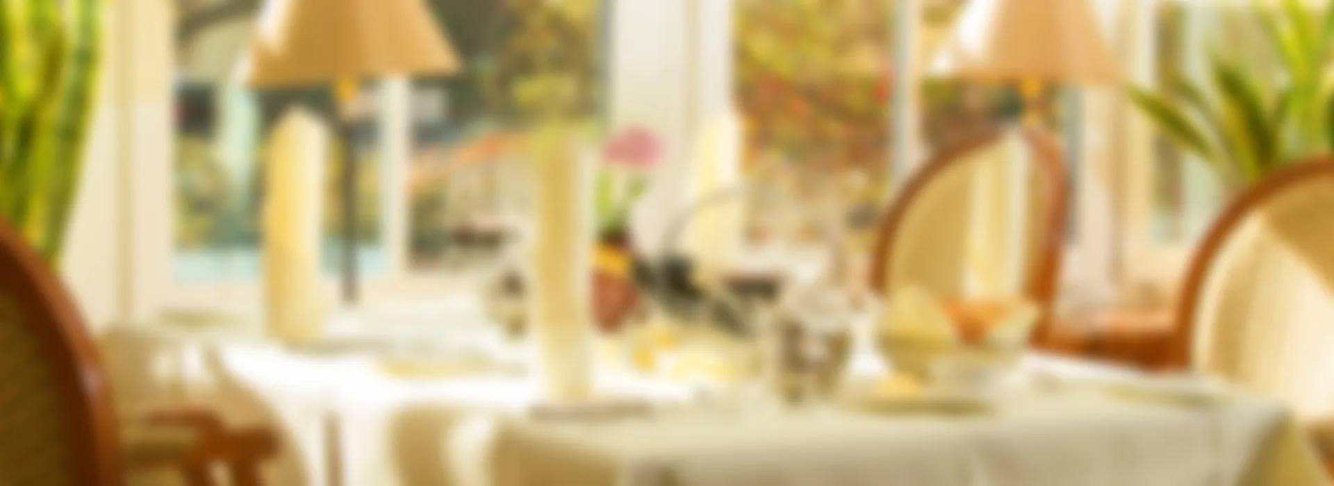 Parkhotel Idar-Oberstein — atmosphere