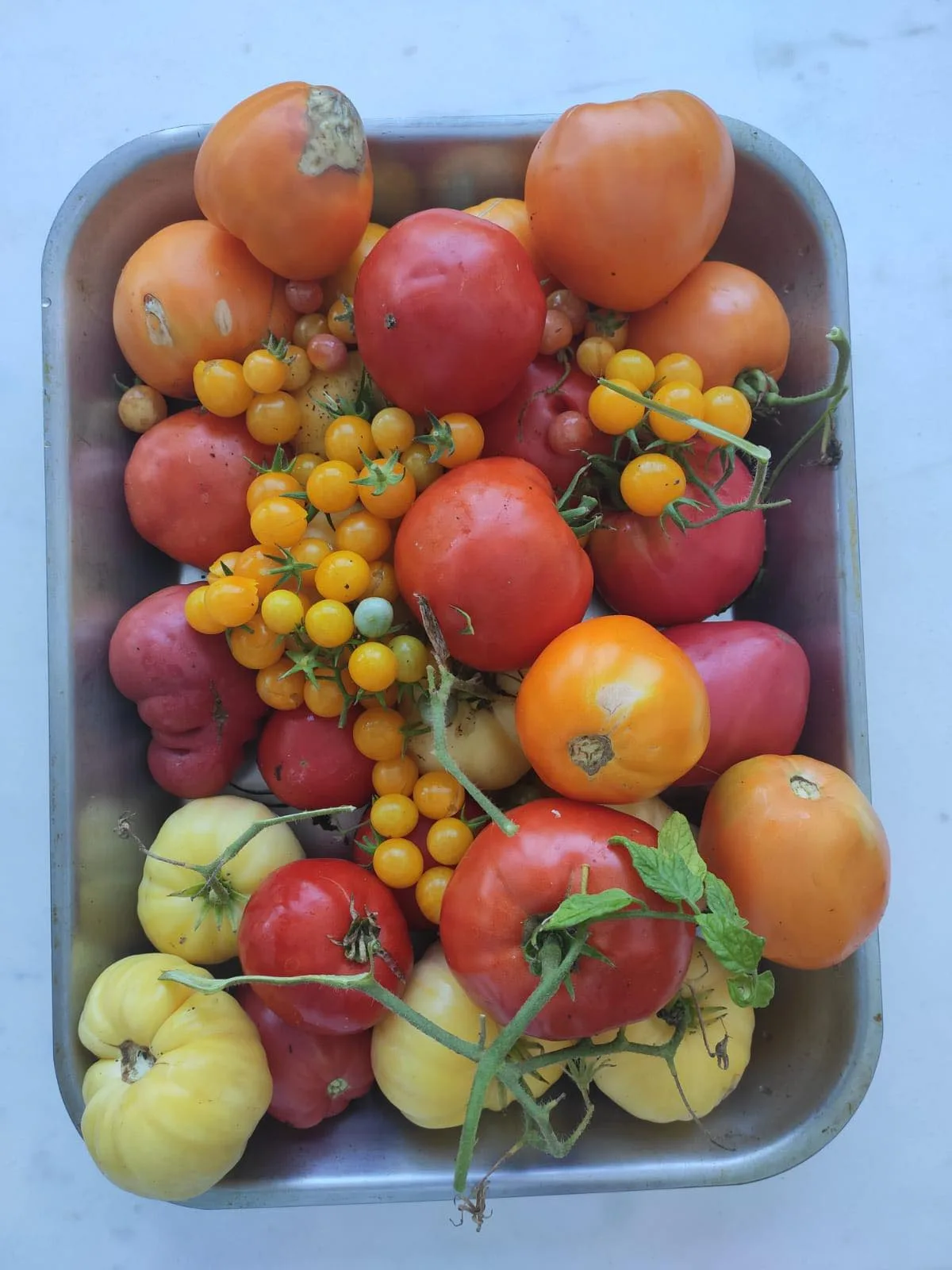 La Cuisine de la Fontaignotte — photo 4