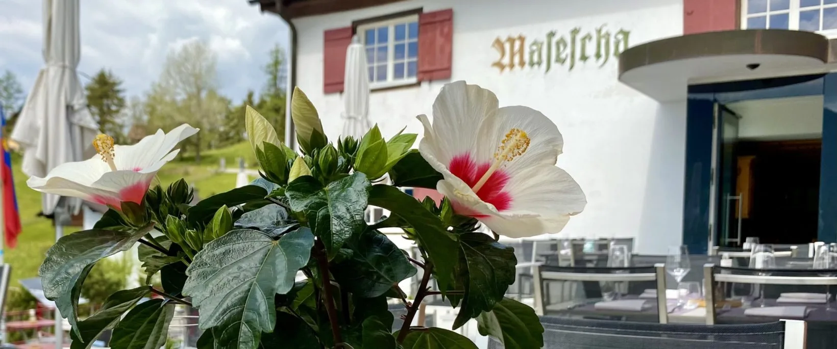 Berggasthaus Masescha — photo 34
