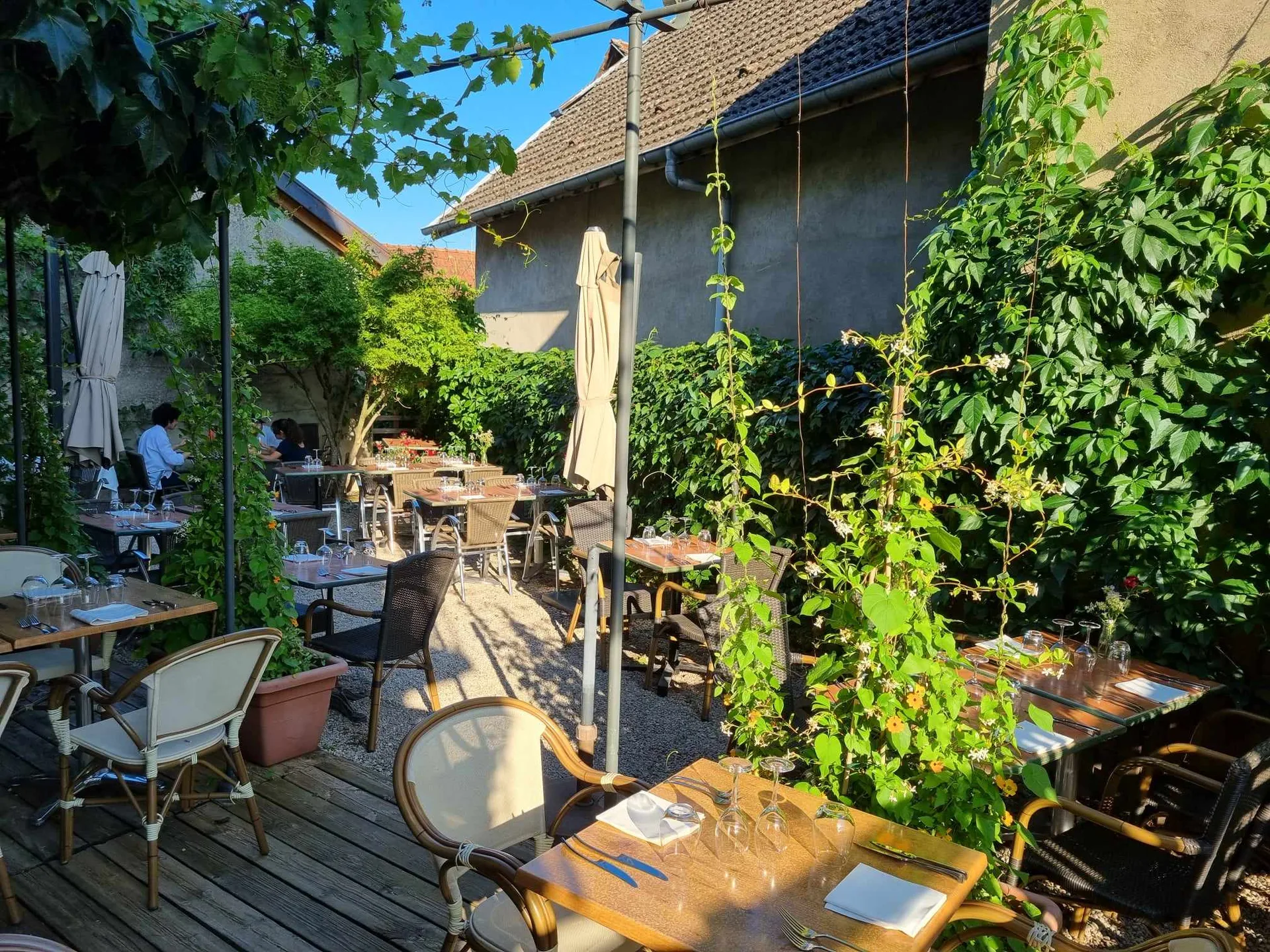 Chez Mosse — photo 6