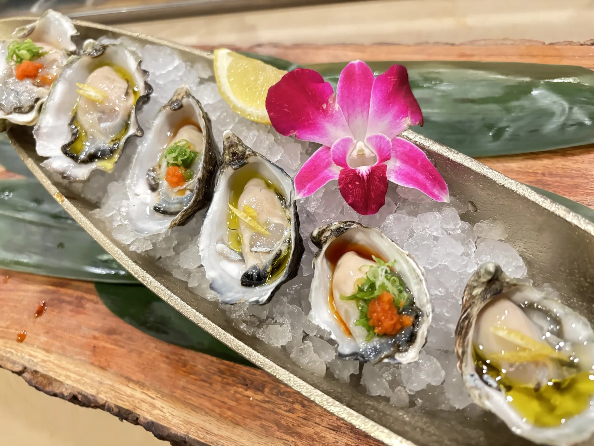 Koi Japanese Cuisine — photo 45