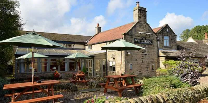 The White Horse & The View @ Woolley Moor — photo 4