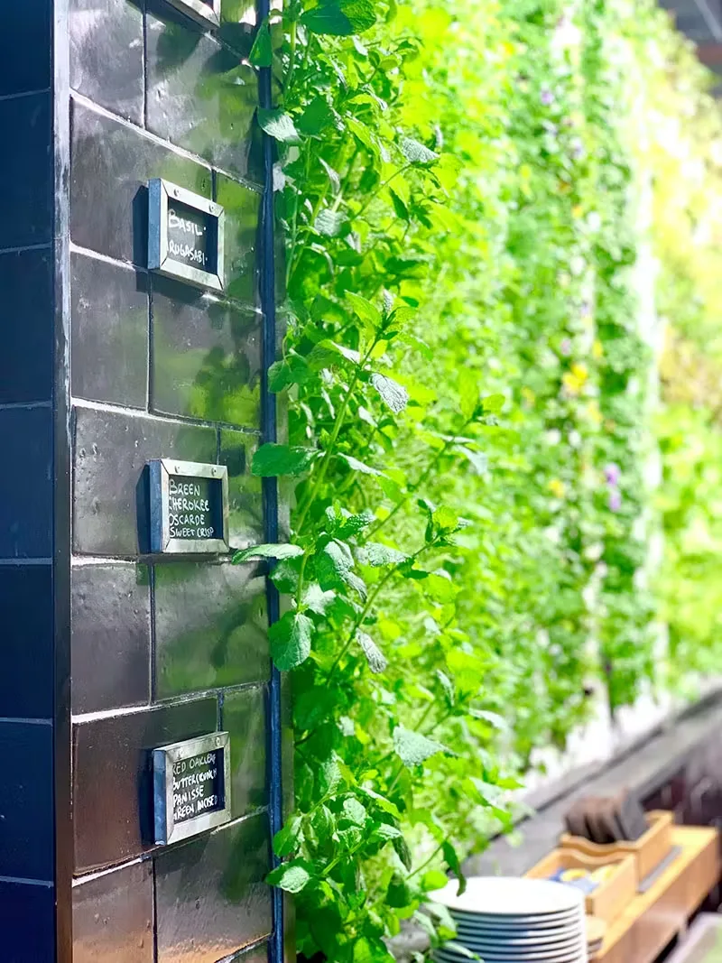 Vida Restaurant, Indianapolis