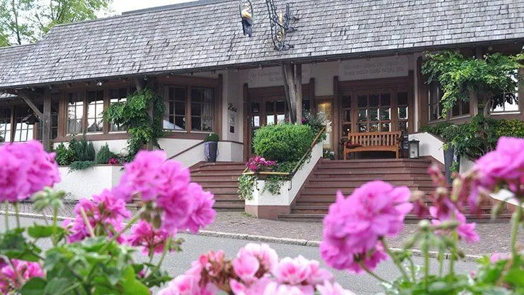 Schwanen Kälberbronn — photo 18
