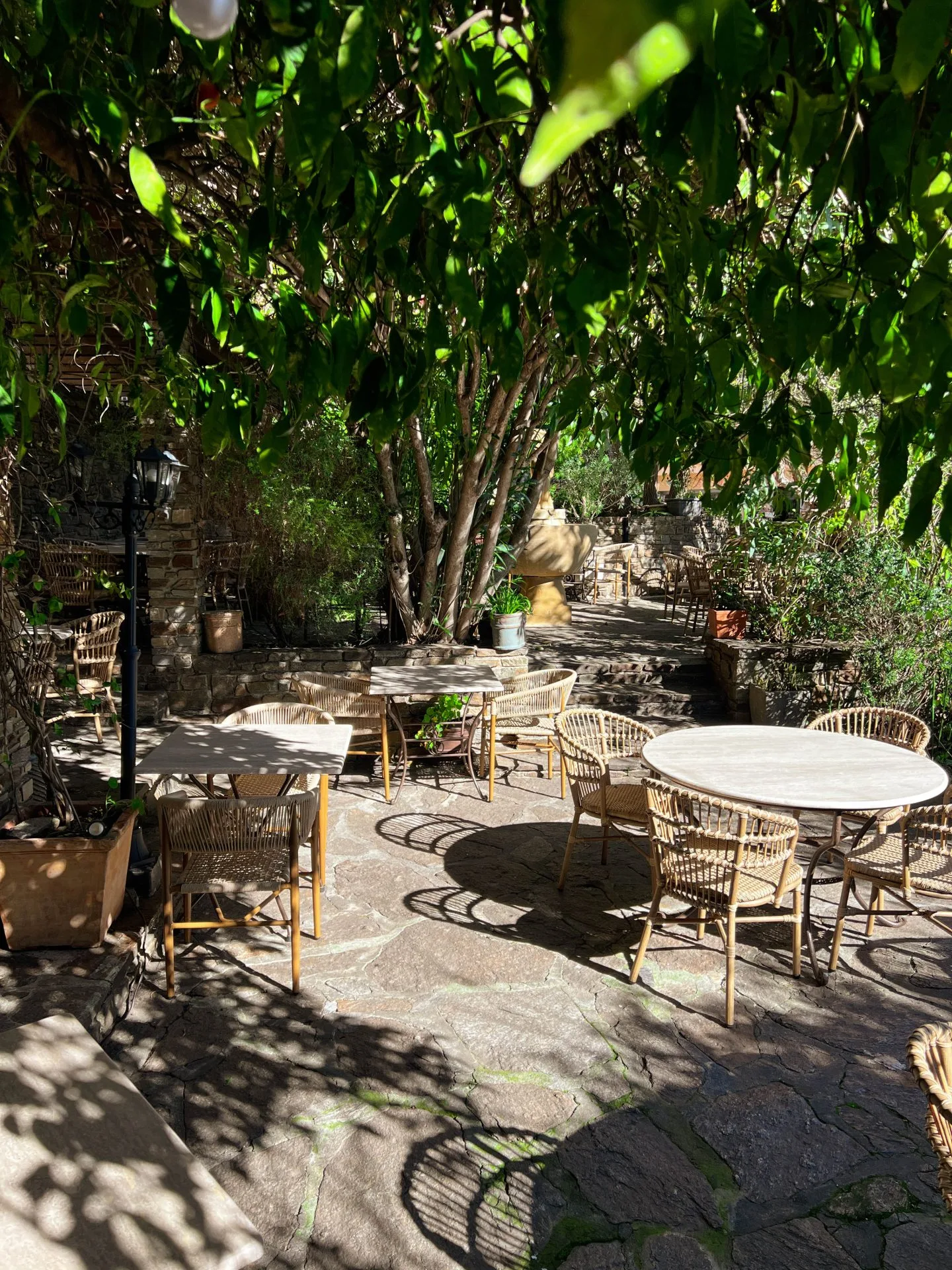 Le Jardin — photo 35