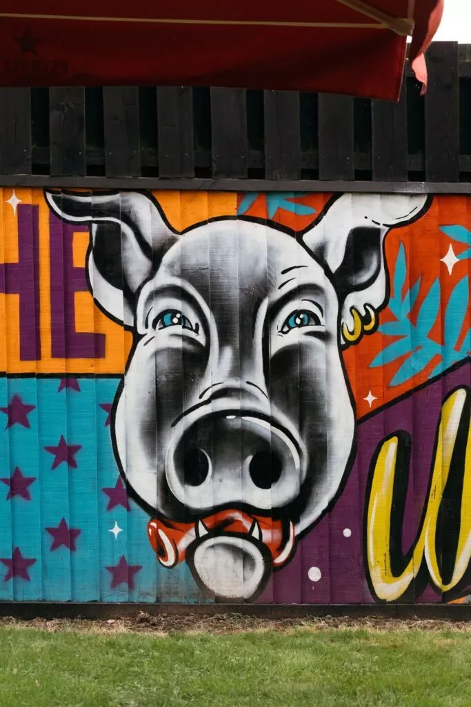 The Unruly Pig — photo 77