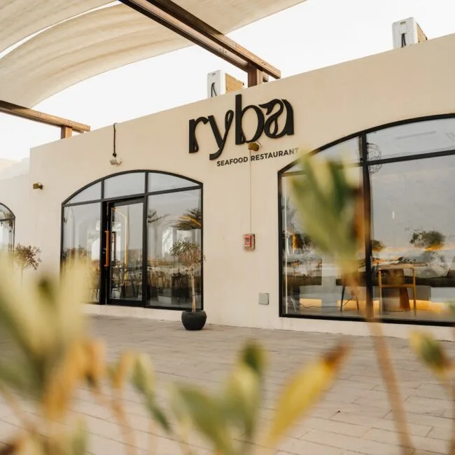 ryba — photo 8