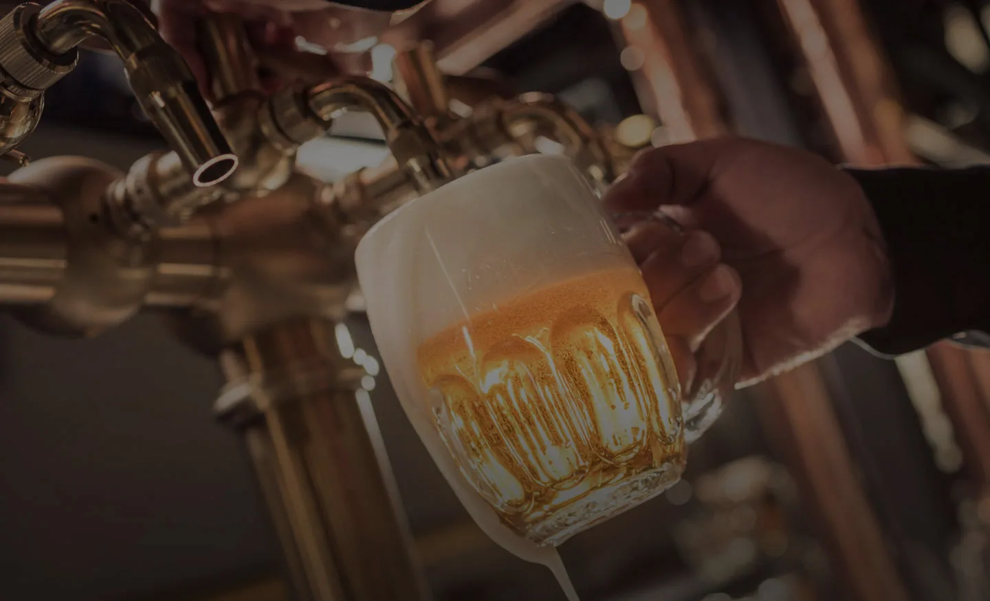 Camelot – Pilsner pub & Medieval restaurant — photo 11