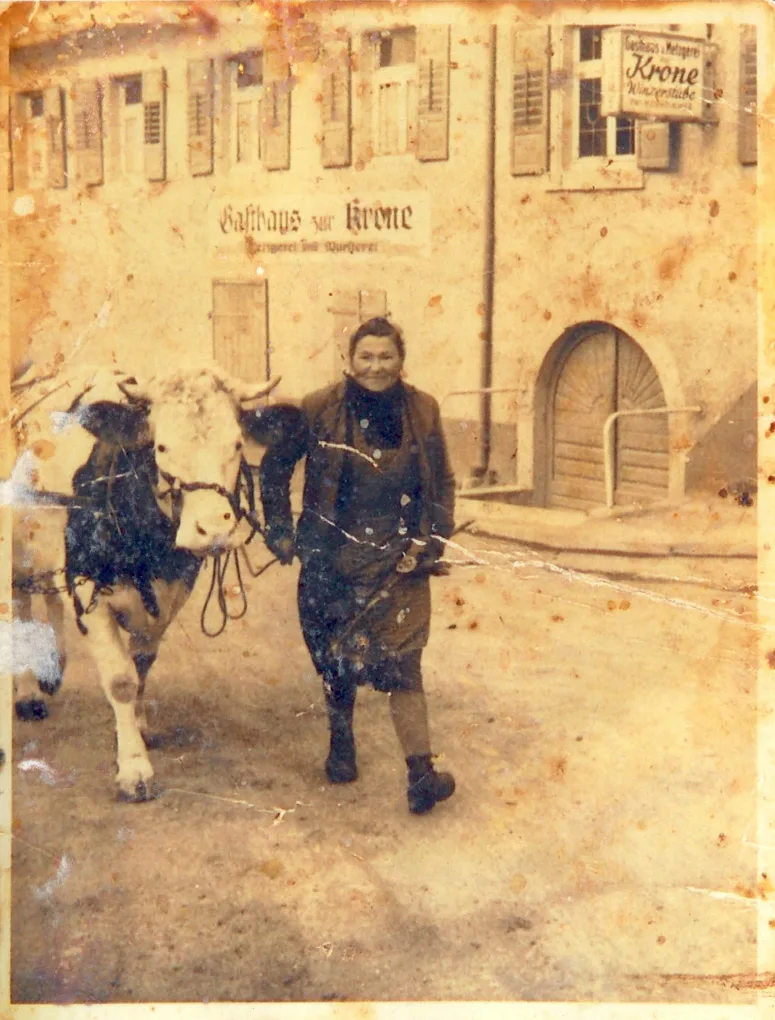 Die Achkarrer Krone — photo 18