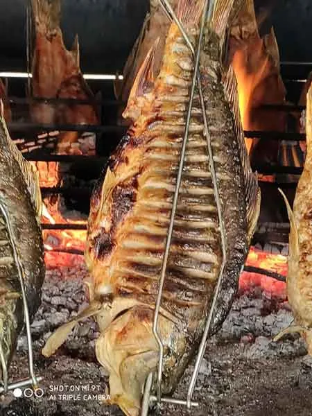 Restoran Ribnjak — photo 10