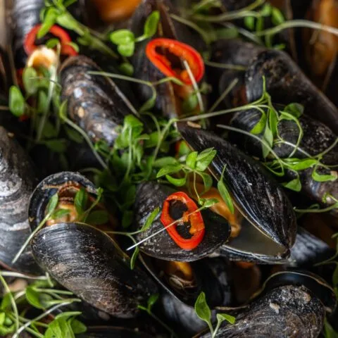 Les Moules — photo 4