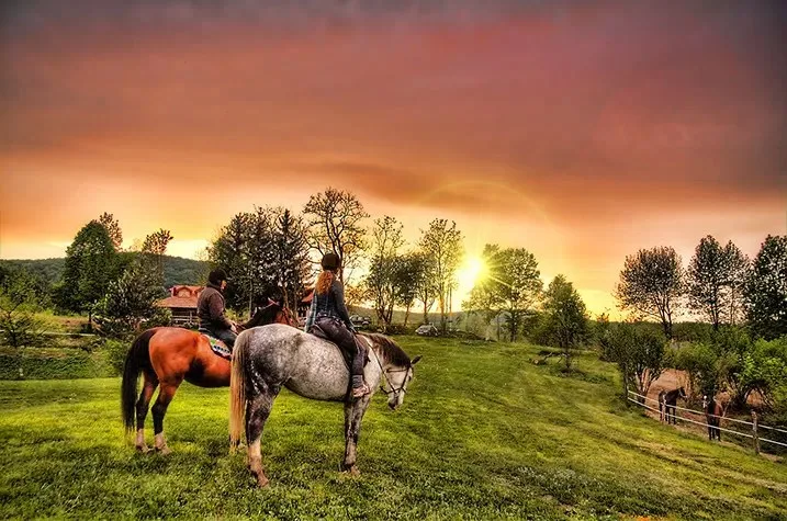 Lička kuća — photo 9