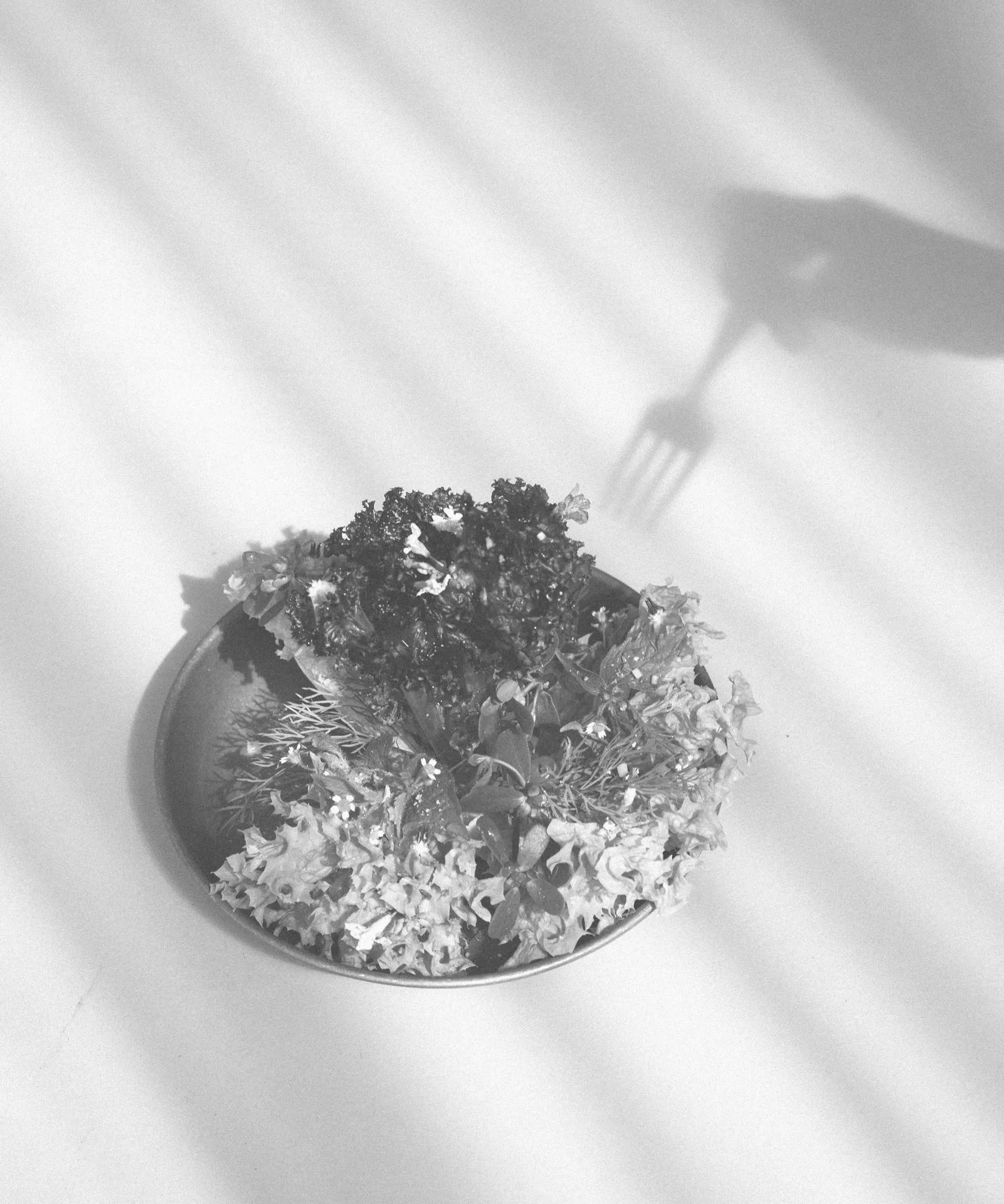 Wandal — photo 69