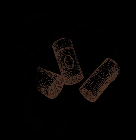 Ostaria Pignatelli — photo 19