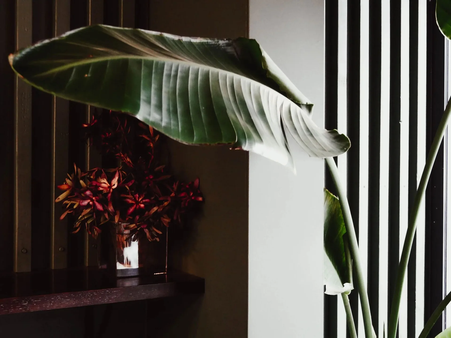 Flo & Co. — photo 5
