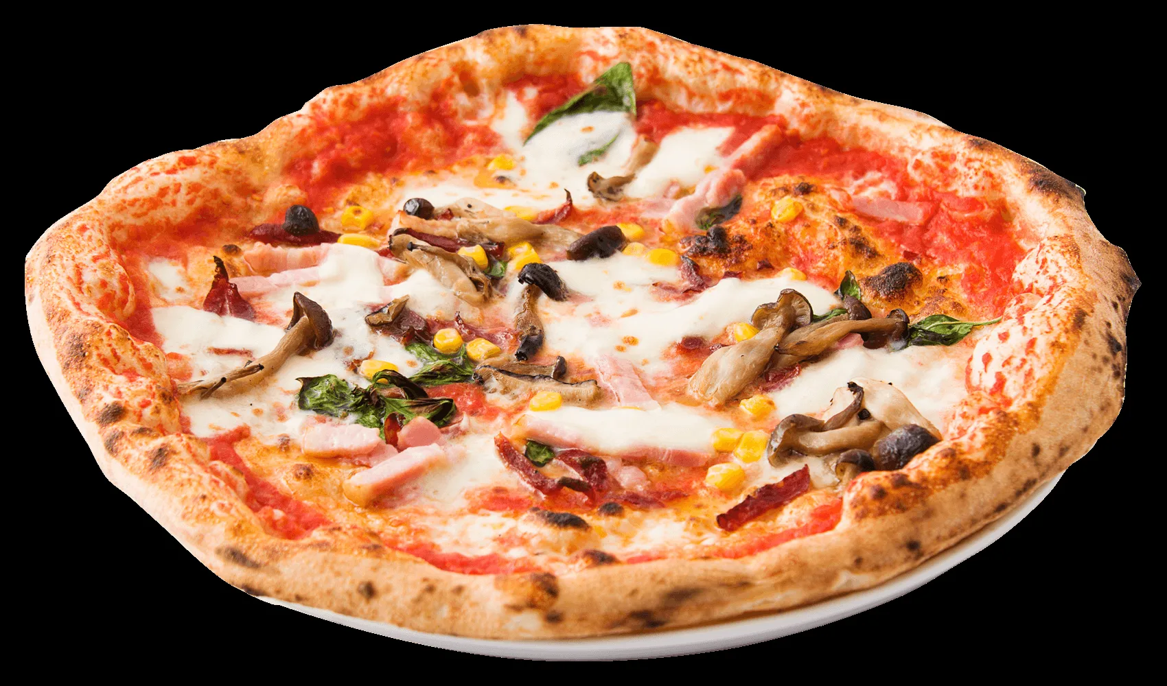 PIZZERIA TRATTORIA MAGAZZINO — photo 35