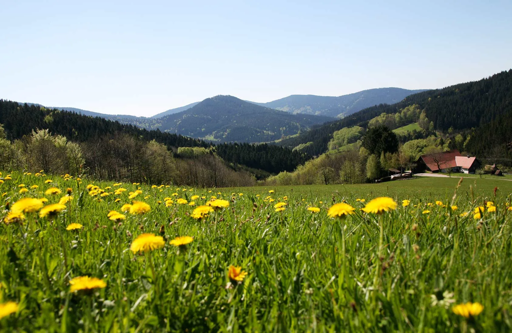 Häfner’s Flair Hotel Adlerbad — photo 19