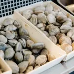 Toucan sur Mer — food