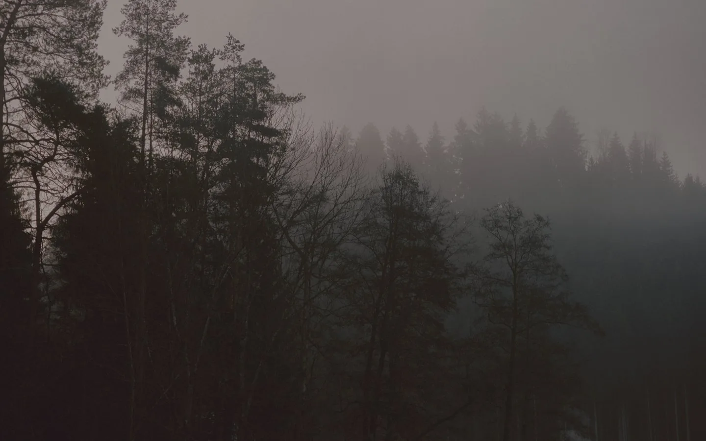 Ois — atmosphere