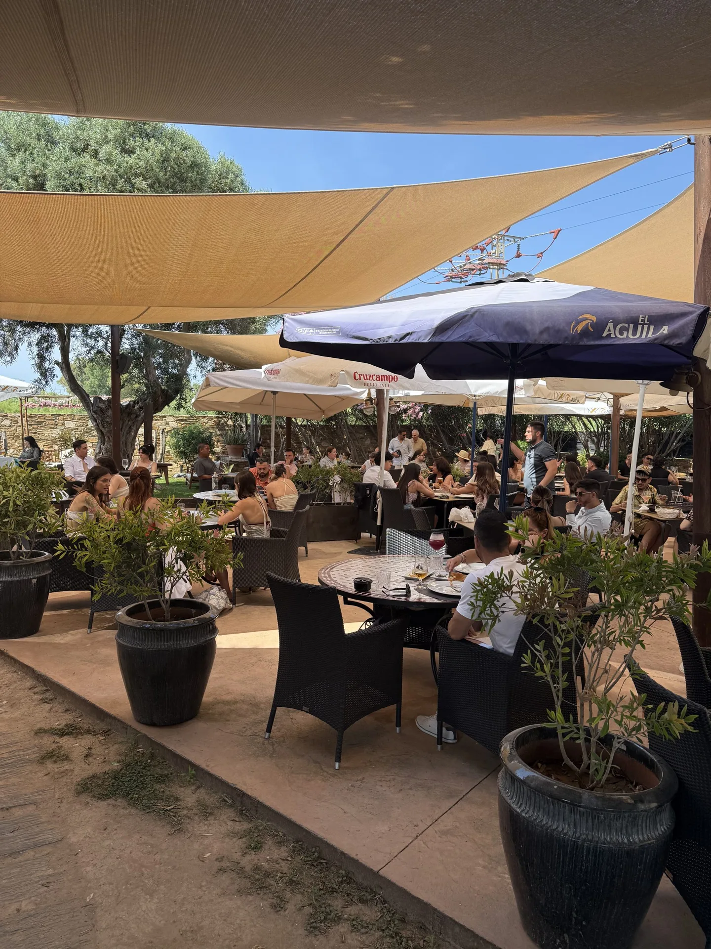 Arrocería Pinedo Beach — photo 48