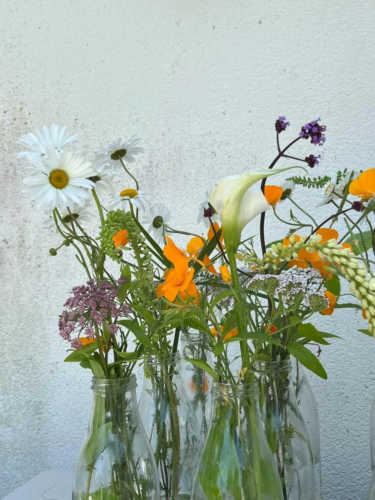 Café Enez — photo 21