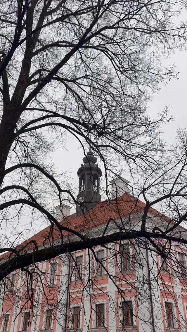 Hõlm — photo 17