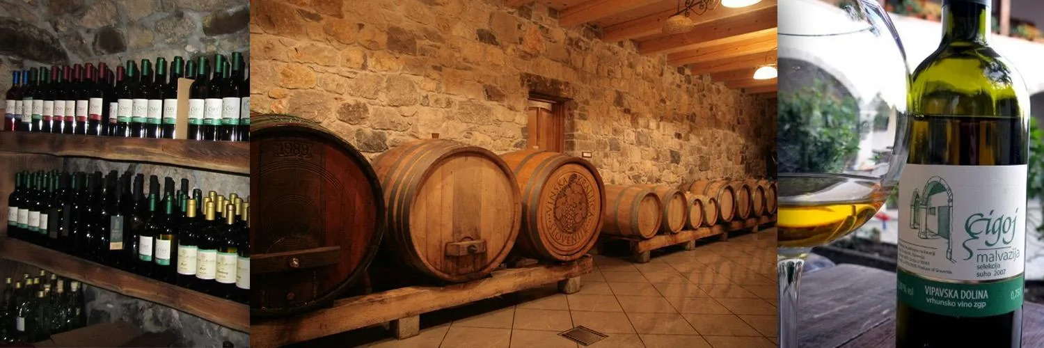 Arkade Cigoj — photo 13