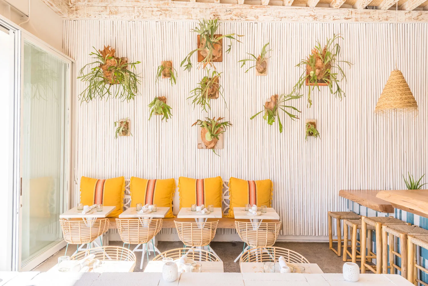 Chulita, Santa Monica