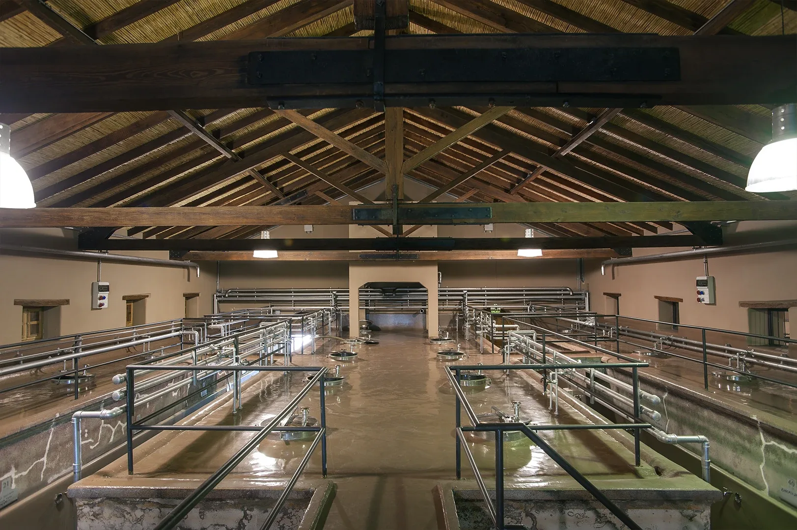 Martino Wines — photo 13