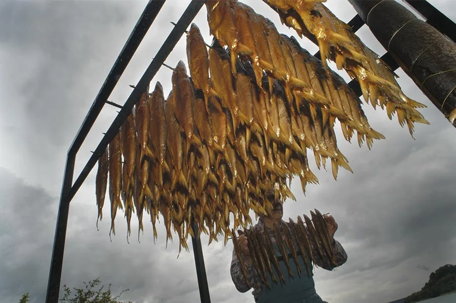 3 Fische — photo 16