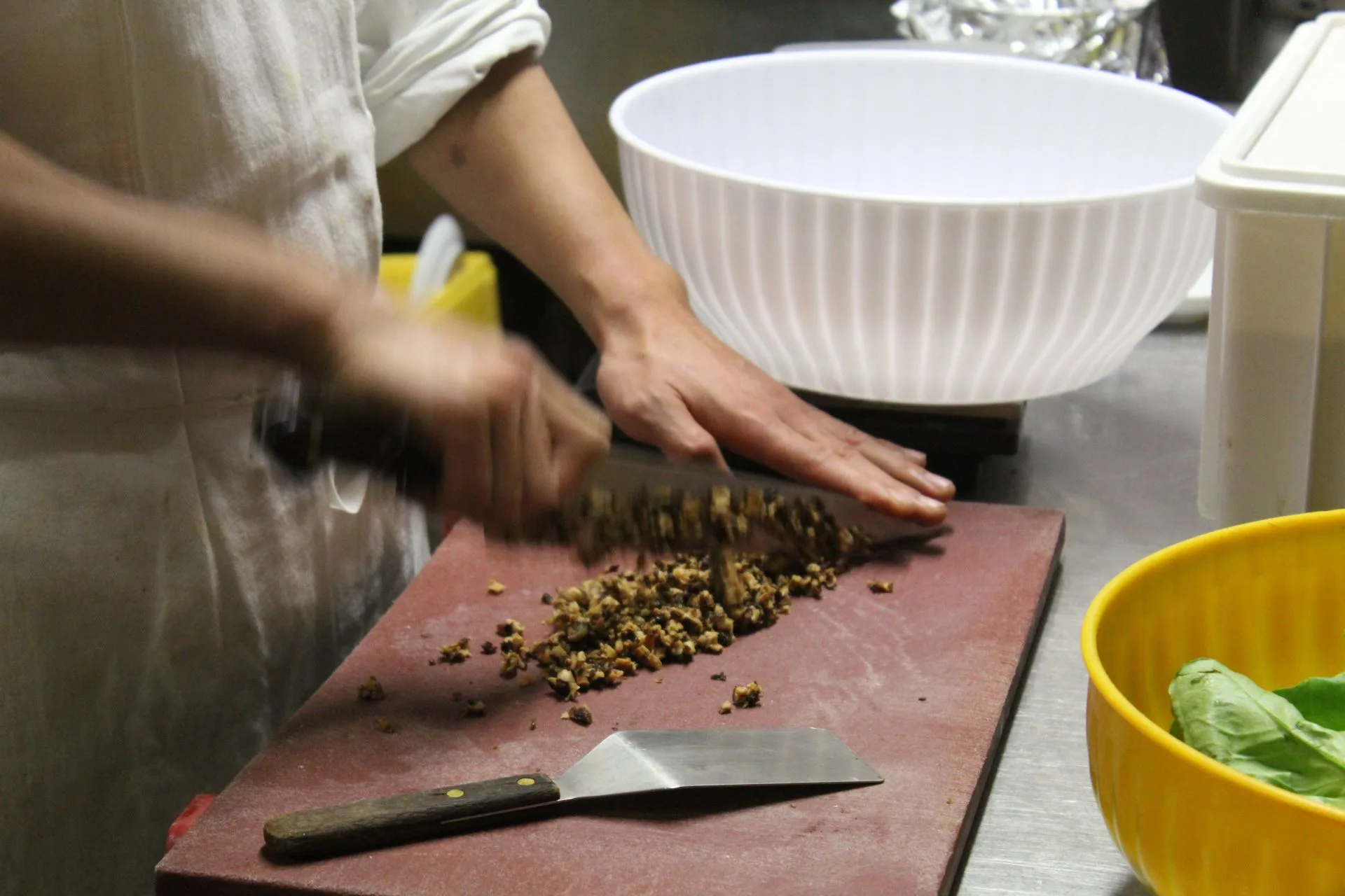 Trattoria Cibrèo - Il Cibrèino — photo 11