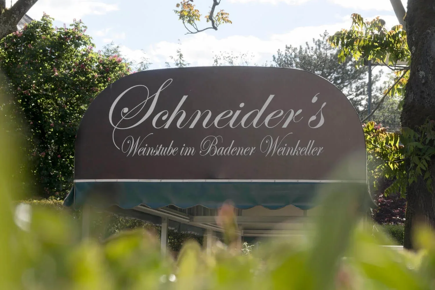 Schneider’s Weinstube im Badener Weinkeller — photo 29