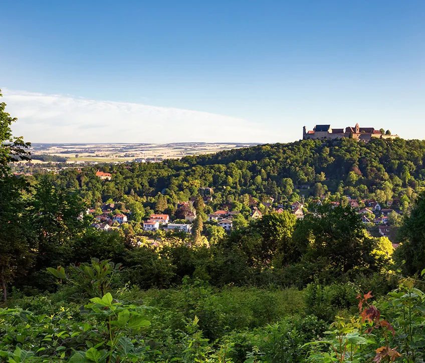 Rehbergers im Schloss Hohenstein — photo 7
