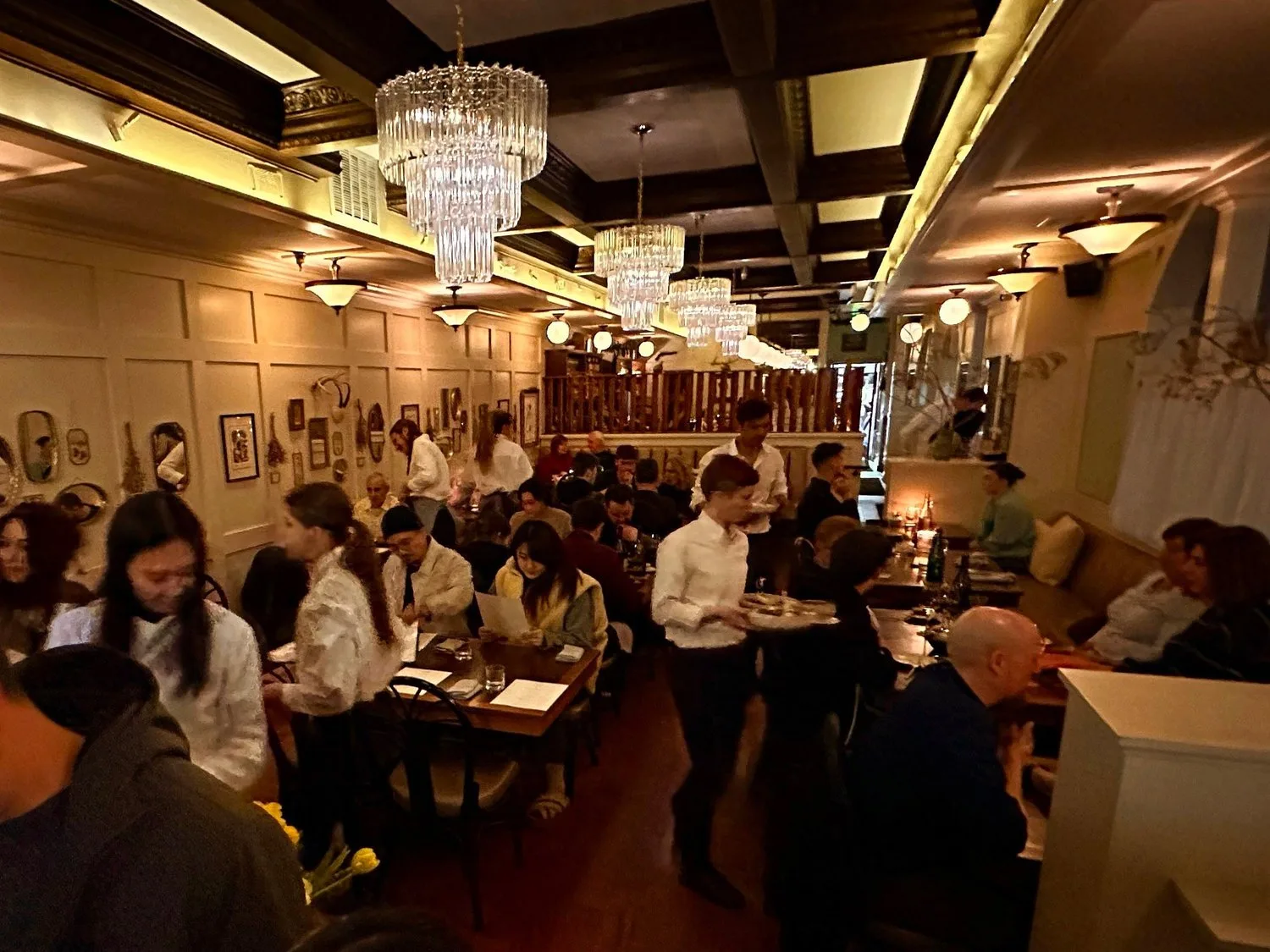 Perle — photo 4
