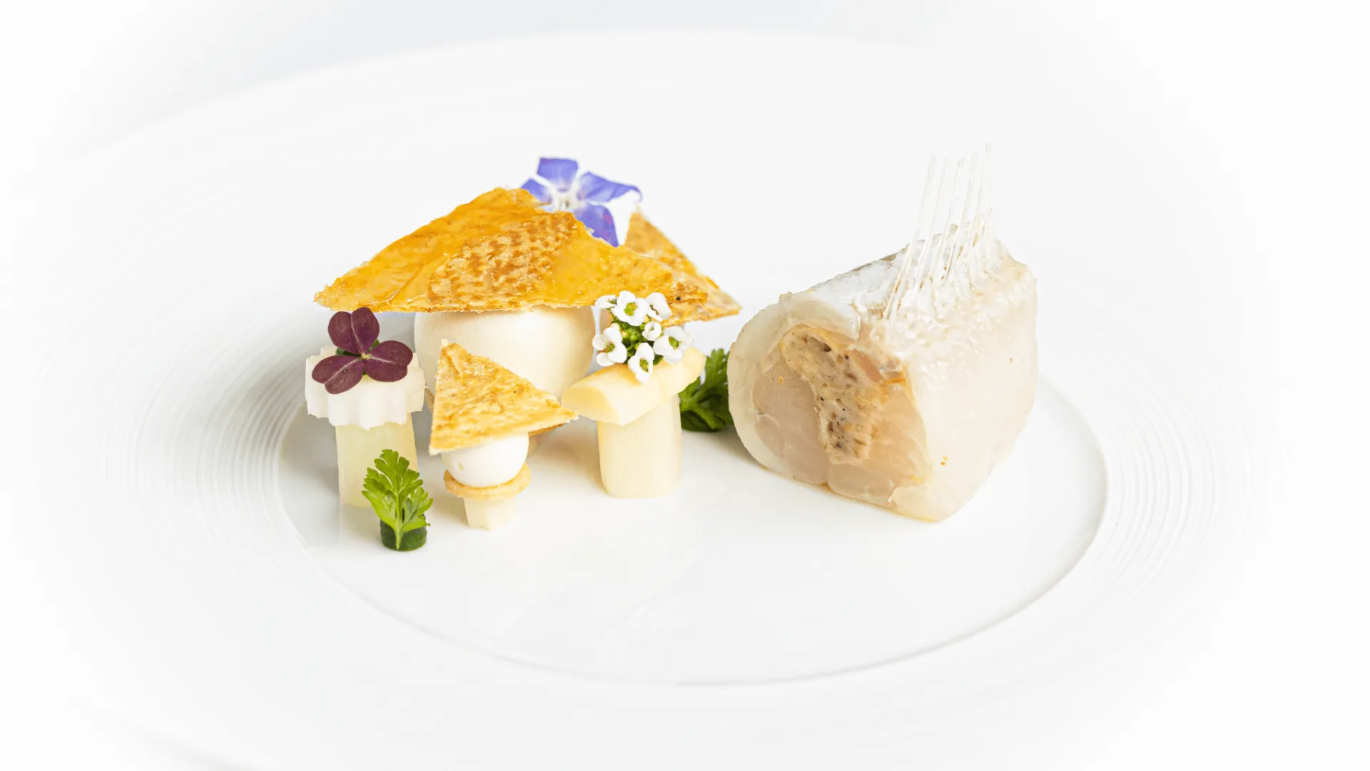 Petrus — photo 35