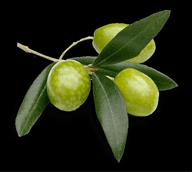Meridia — food