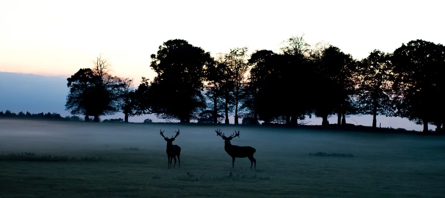 The Gunton Arms — photo 9