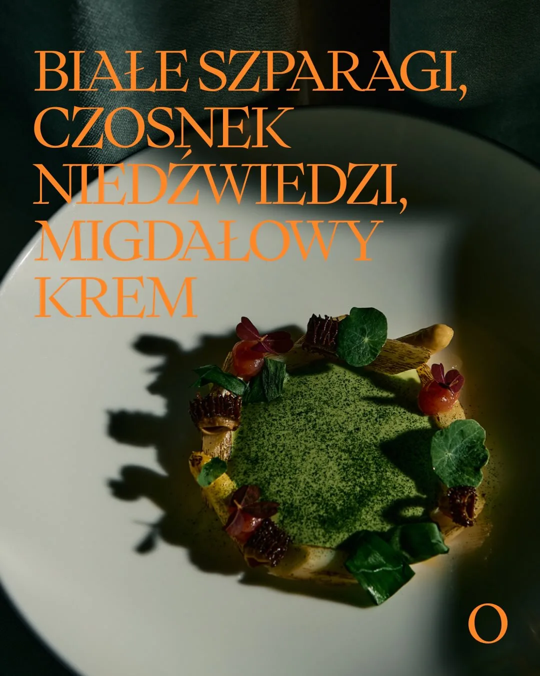 Opasły Tom — photo 13