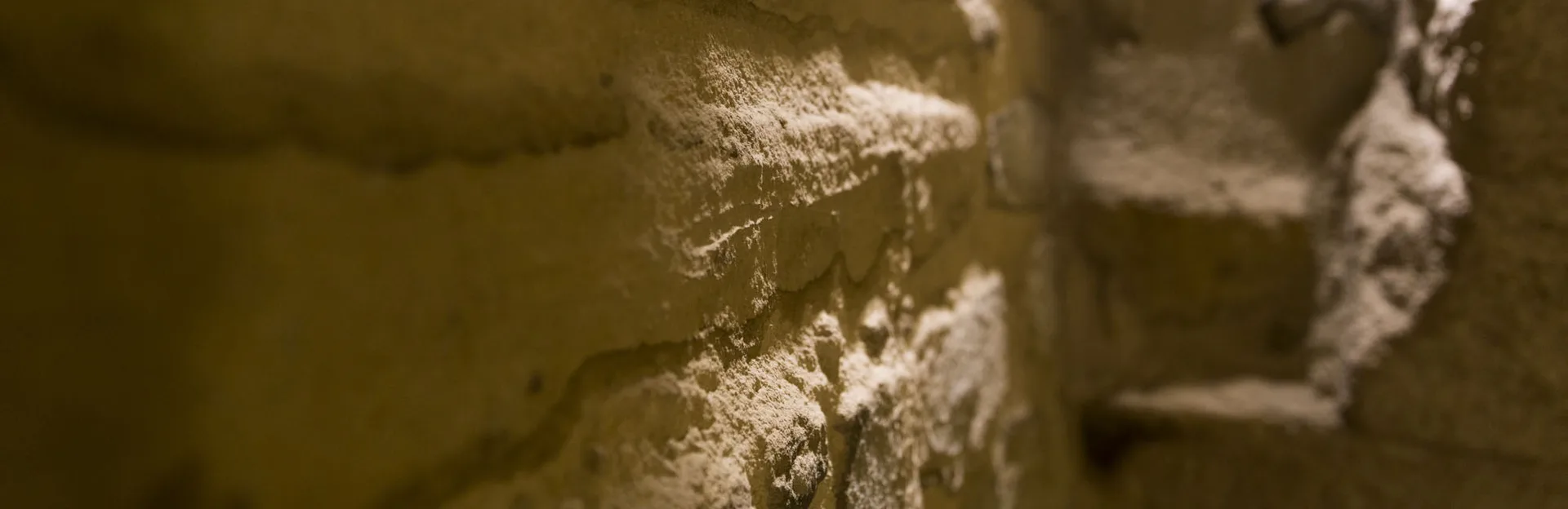 Zur Linde — photo 14