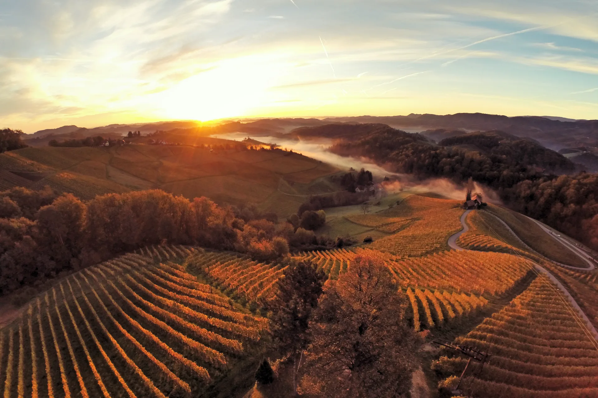 Domačija Vino Gaube — photo 47