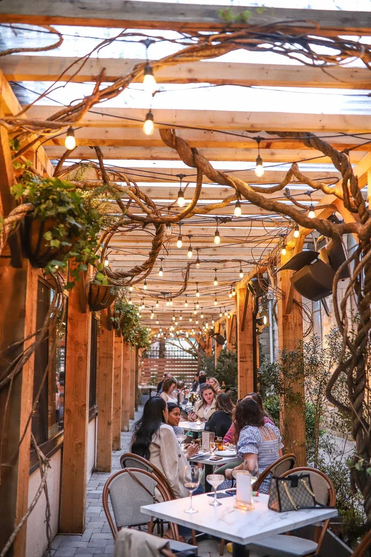 Osteria — photo 30
