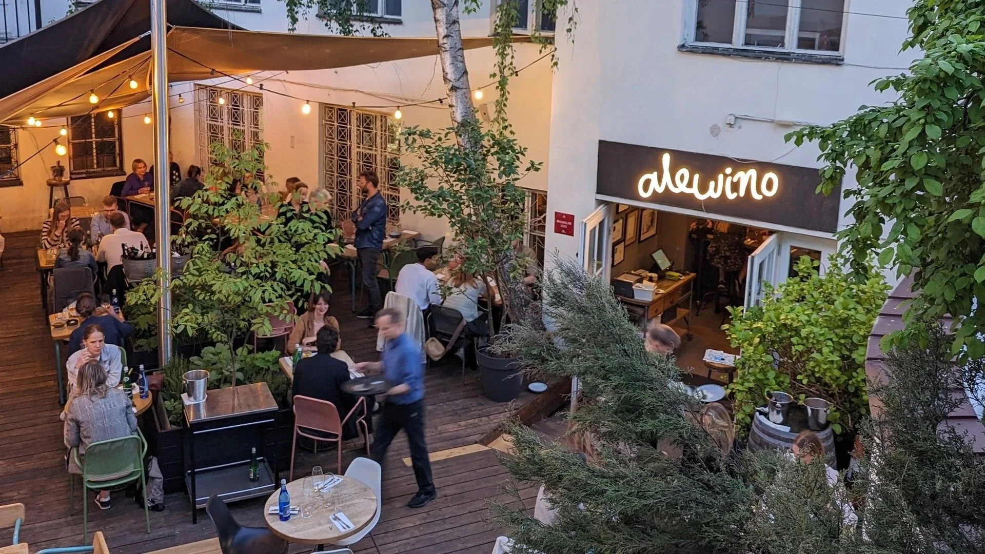 alewino, Warsaw