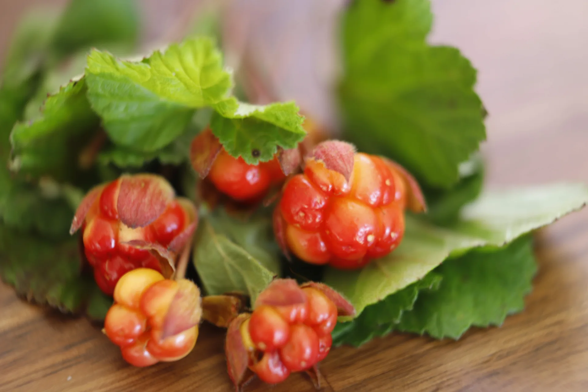 Hävvi i Glen — food