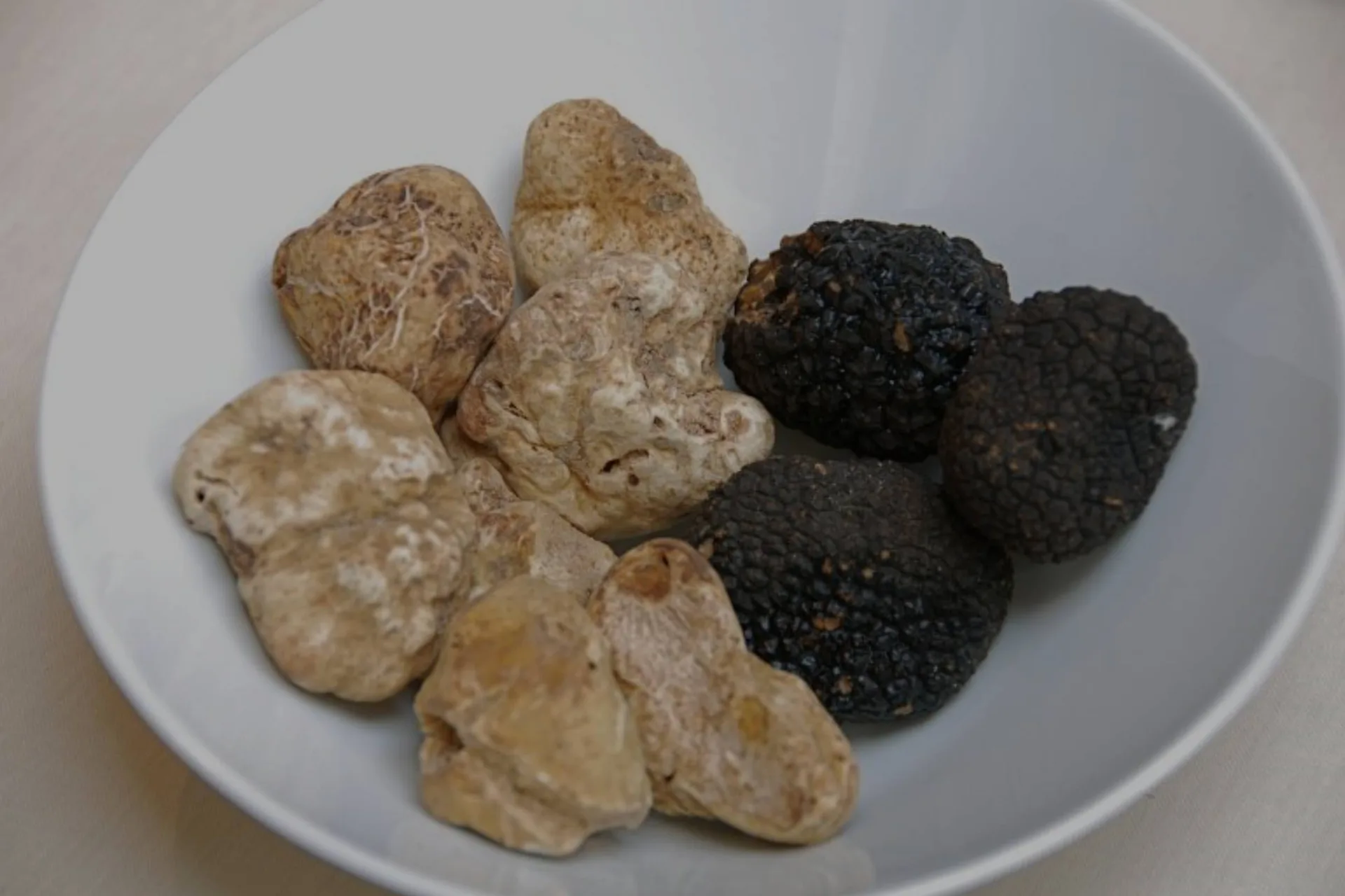 La Truffe Noire — photo 32