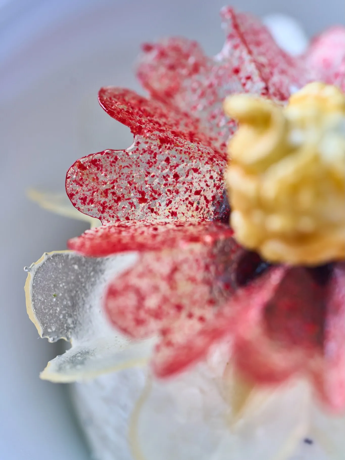 Loiseau du Temps — food