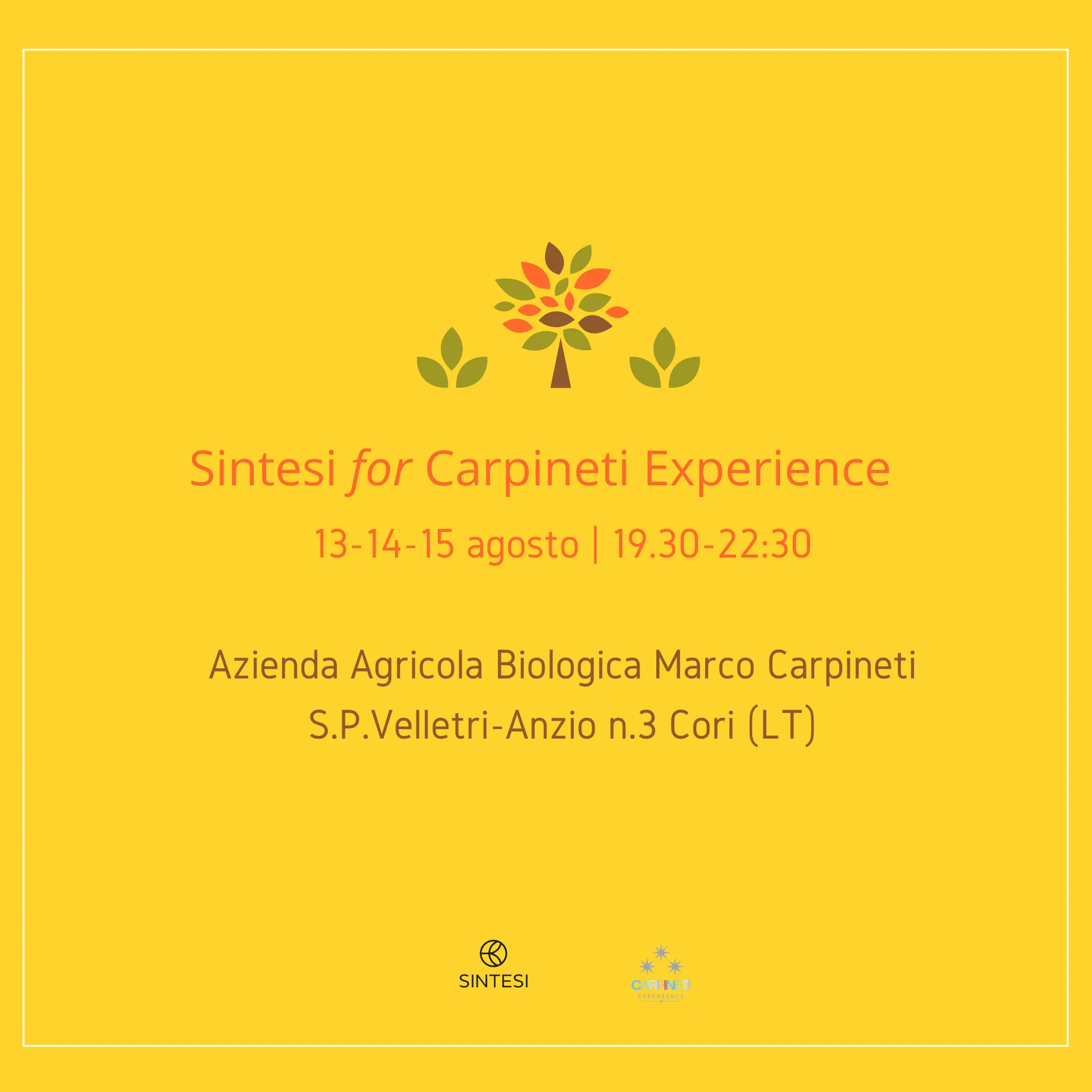 Sintesi — photo 4