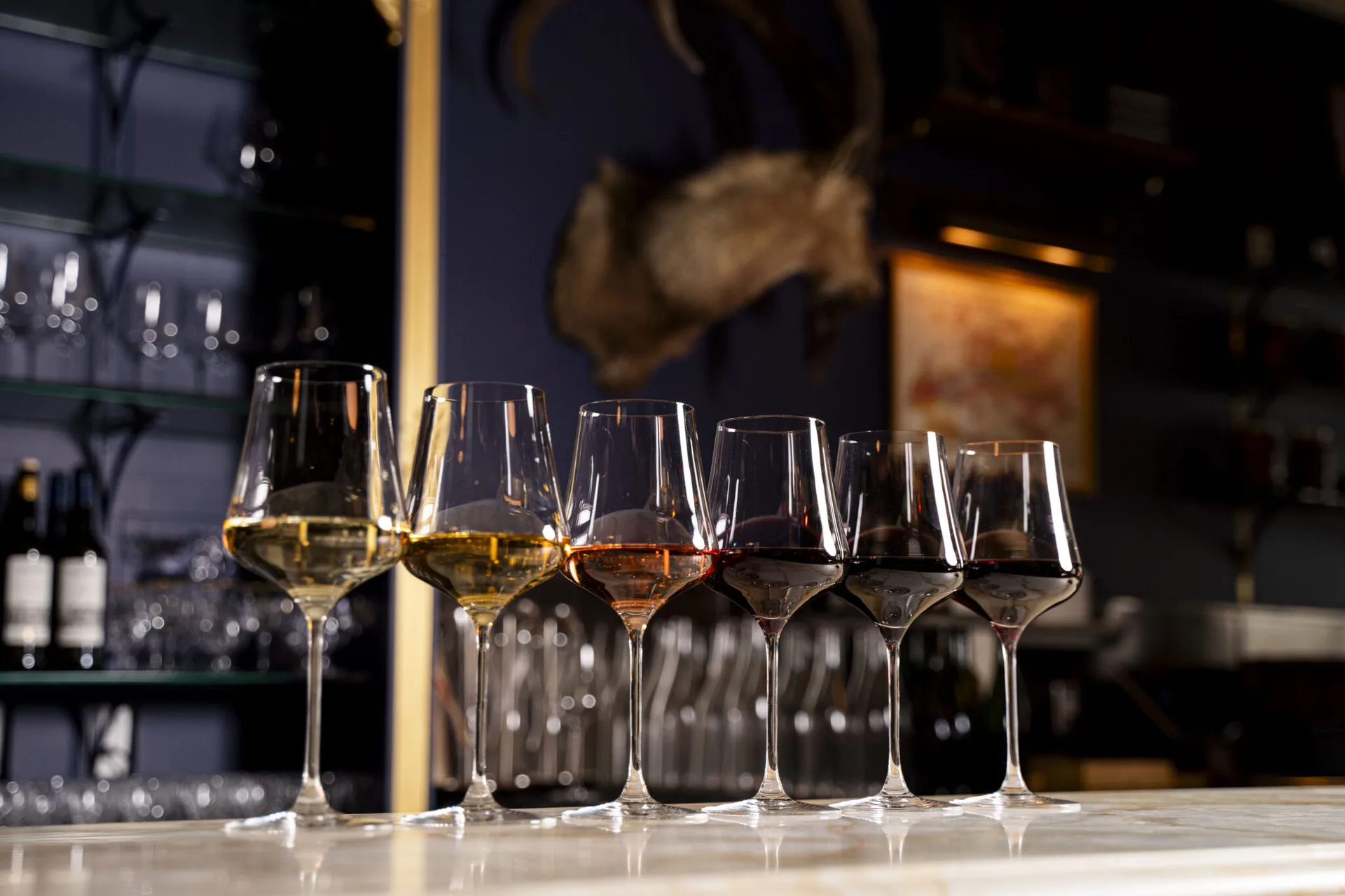 Saison Wine Bar — drink