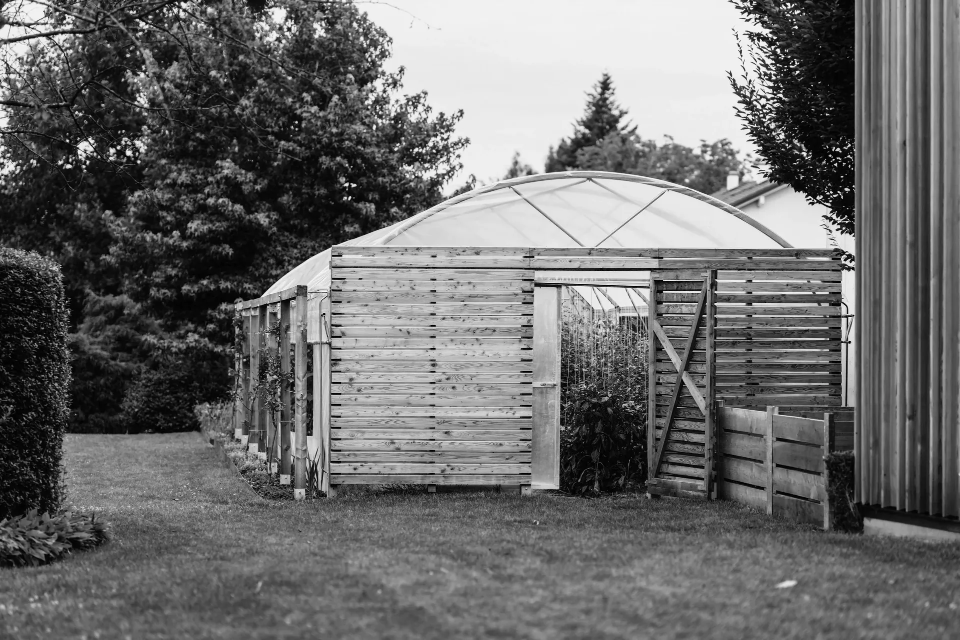 Thaller — photo 63