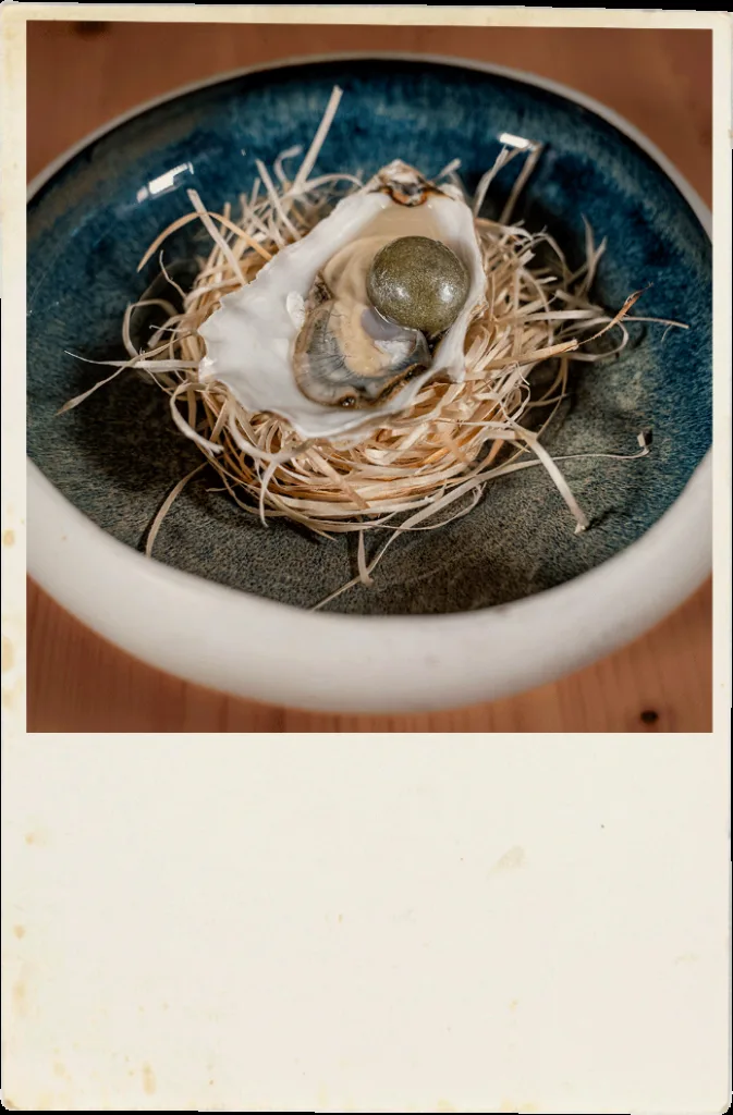 DVISI — photo 42